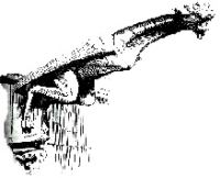 Gargouille de cathedrale